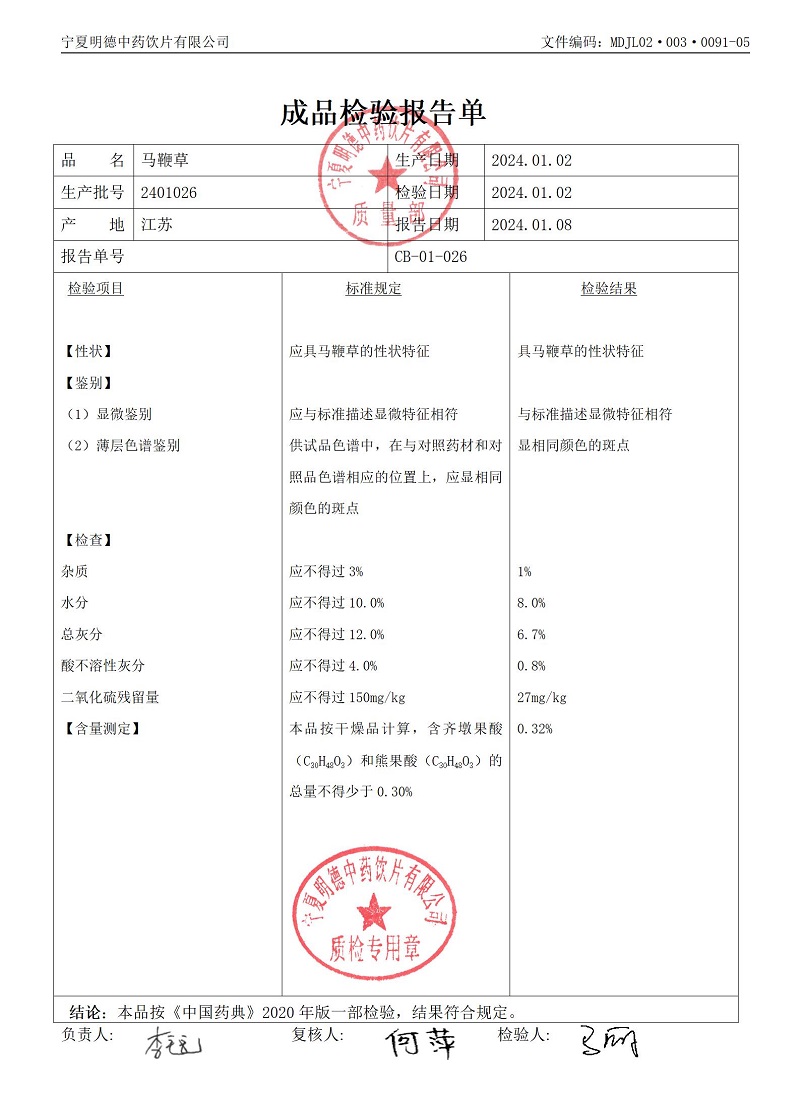 2401026馬鞭草.jpg