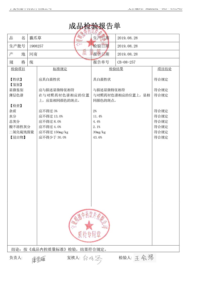 1908257貓爪草.jpg